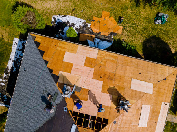 Roof Installation Near Me in Leo Cedarville, IN