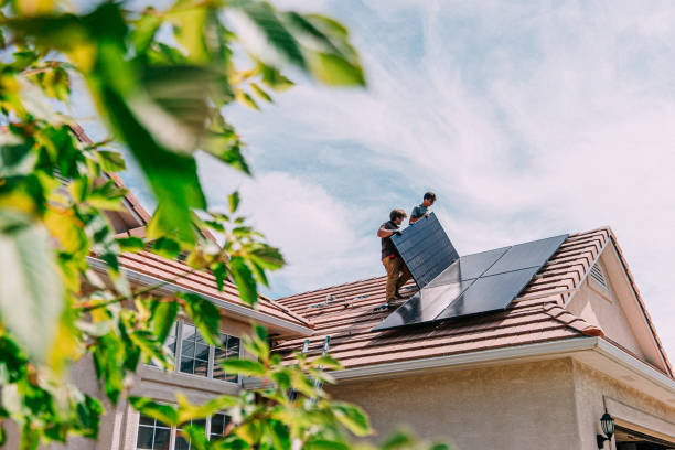 Best Flat Roof Repair Services  in Leo Cedarville, IN